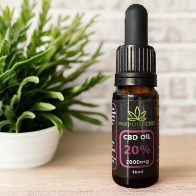 CBD Oil